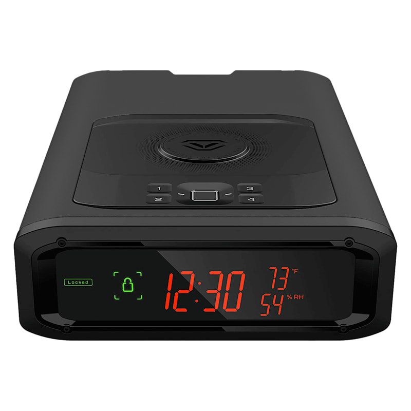 Vaultek DS2i Smart Station ViSN Safe
