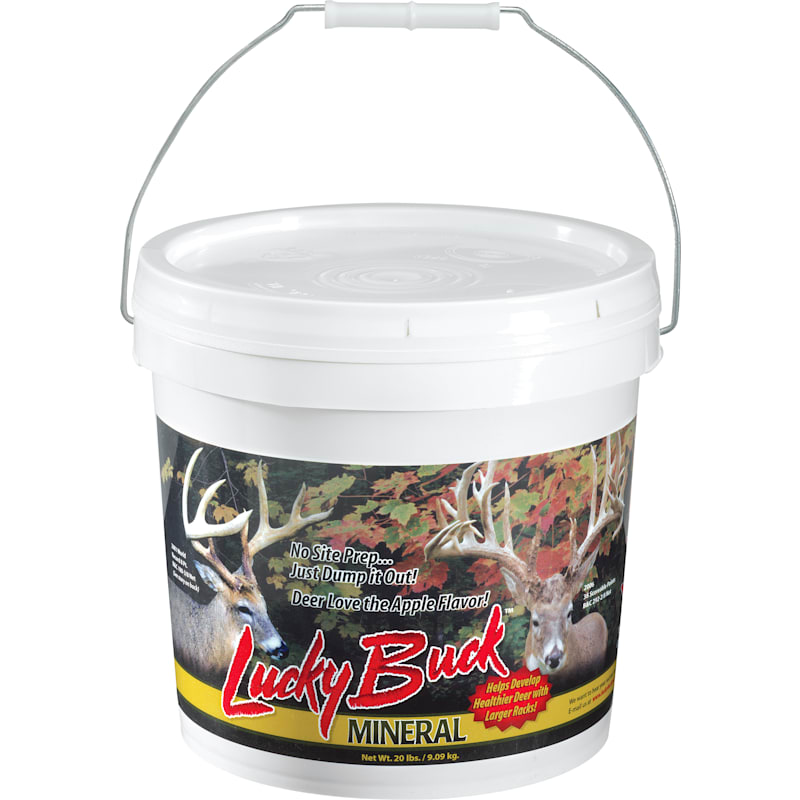 Lucky Buck Salt/Mineral