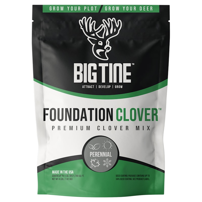 Big Tine Foundation Clover Food Plot Seed