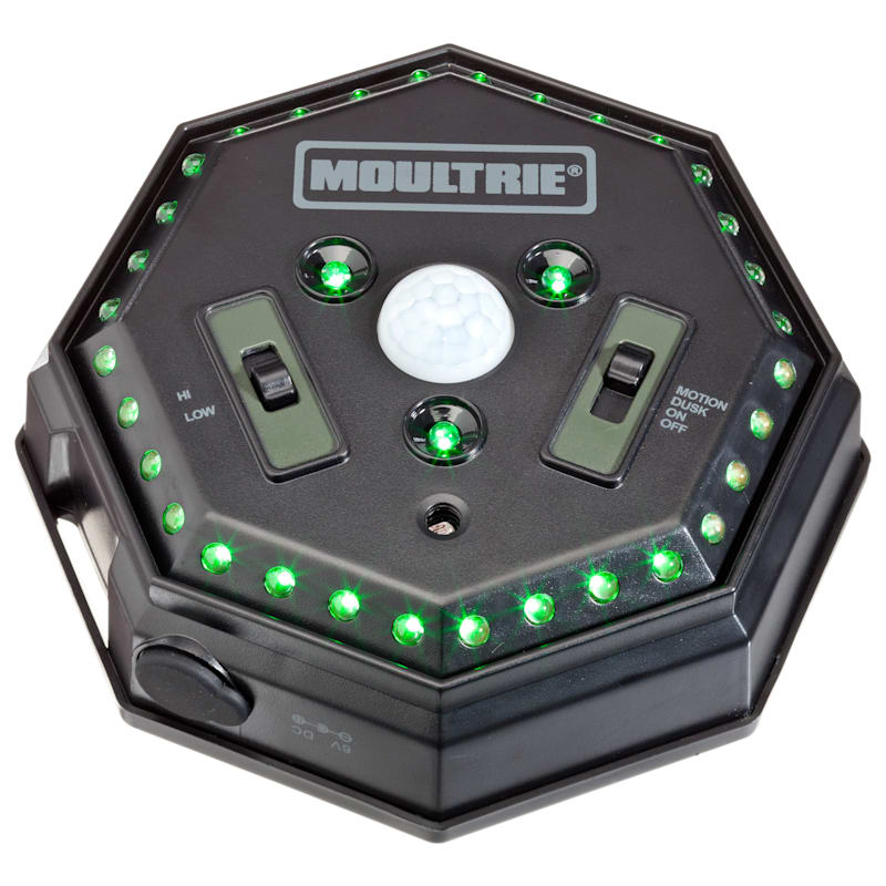 Moultrie Game Feeder Hog Light