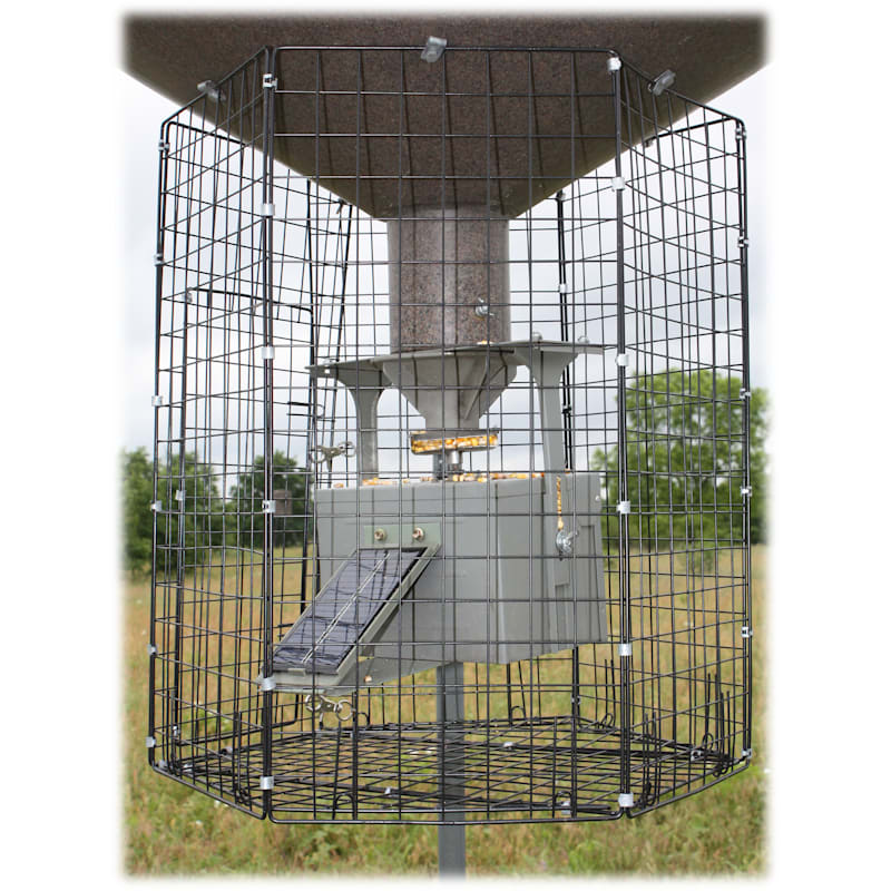 Boss Buck Deluxe Varmint Guard Cage