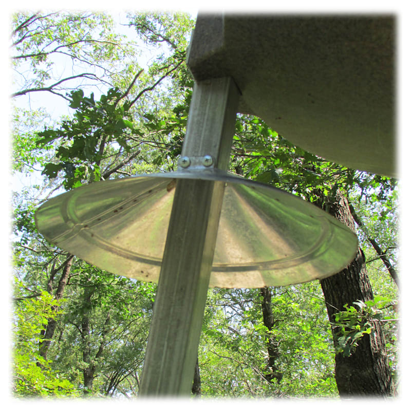 Boss Buck Squirrel Funnel Feeder Leg Guards