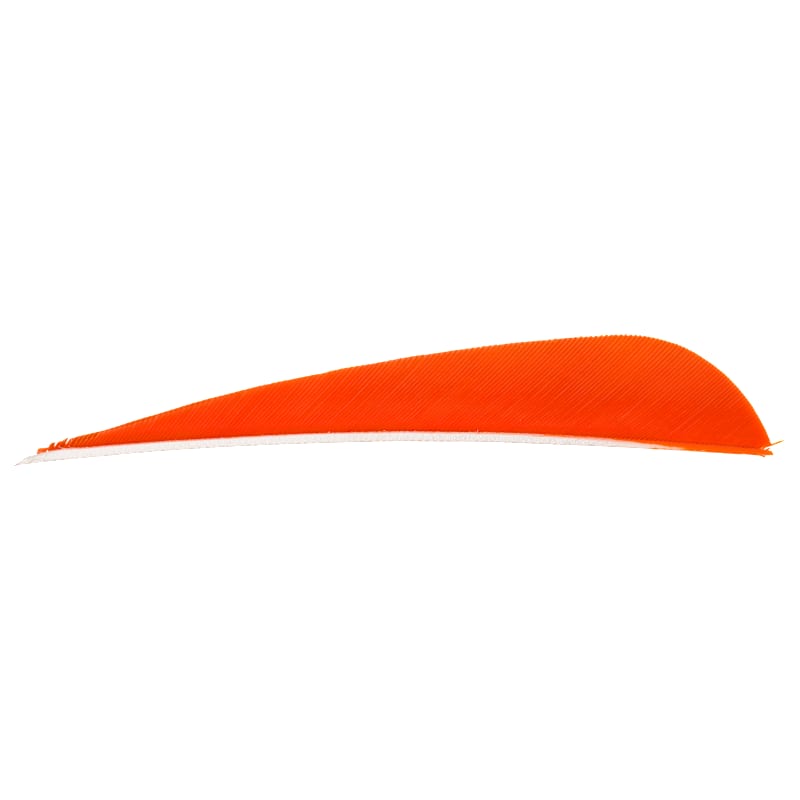 Gateway Feathers Right-Wing Archery Feathers