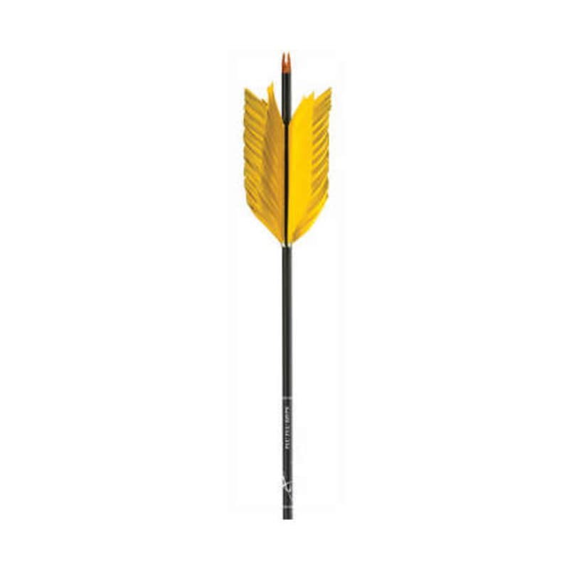 Carbon Express Flu Flu Arrow