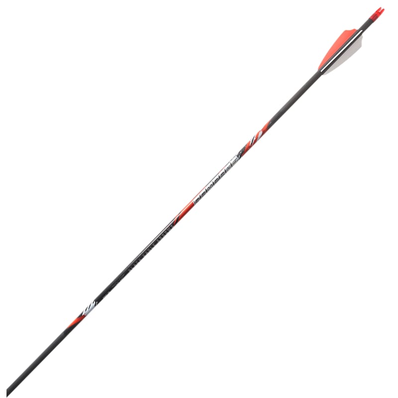 Black Eagle Rampage Carbon Arrows