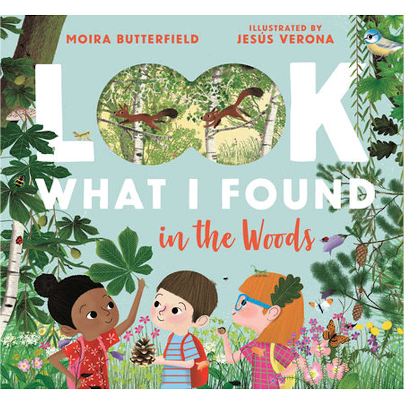 Look What I Found In The Woods Book By Moira Butterfield
