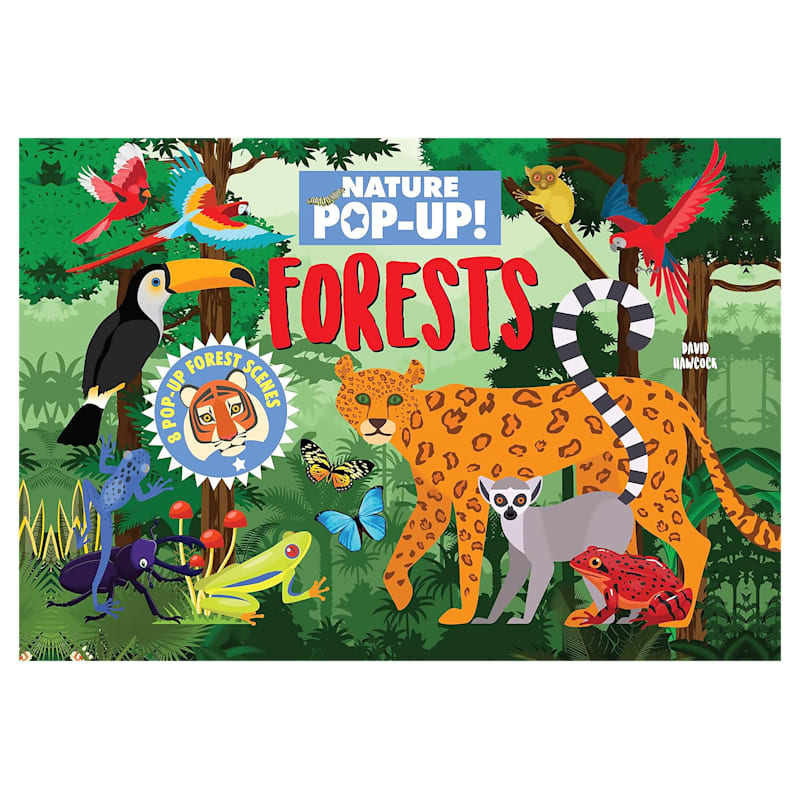 Nature Pop-Up! Forests Pop-Up Book by David Hawcock