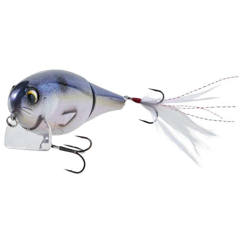 Bass Pro Shops XPS Wake Up Call
