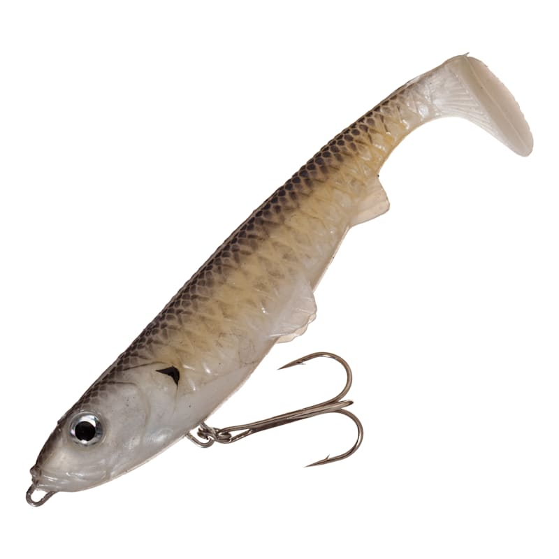 Bass Pro Shops XPS Swimming Minnow Rigged