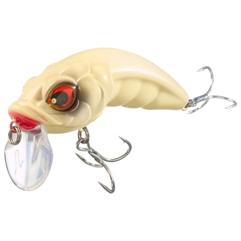 Bass Pro Shops XPS Hunchback